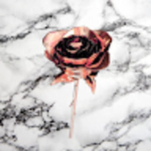 Meet your Posher, Mackenzie